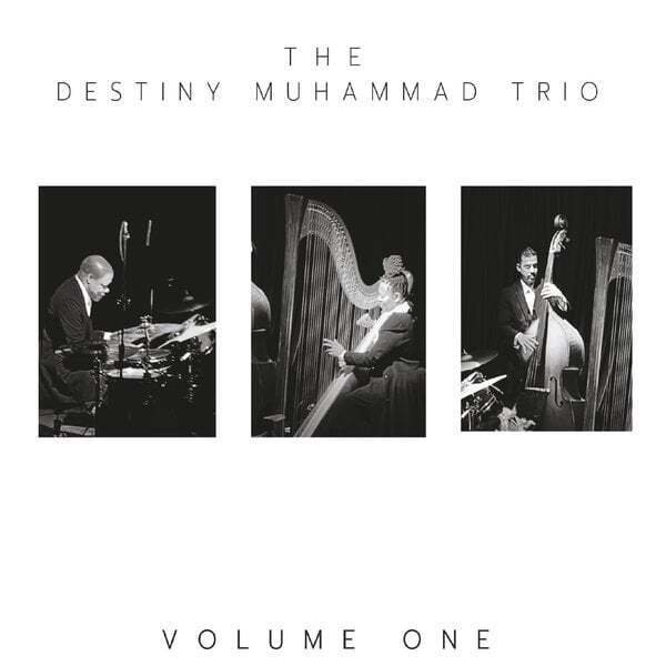 Cover art for The Destiny Muhammad Trio, Vol. 1